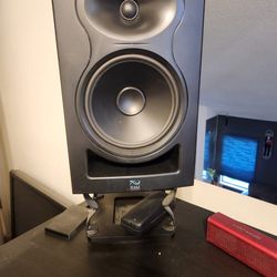 CALI AUDIO 8" MONITOR SPEAKERS