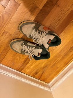 Nike SB Dunks size 10.5