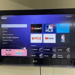 32” LG Garage TV with Roku Streaming Stick and Wall Mount