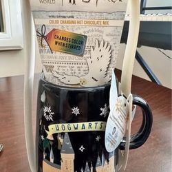 🪄 Harry Potter Color-Changing Mug with Hot Chocolate Mix – $10