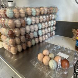 Fresh free range unwashed eggs