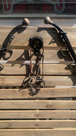 Horse Bit 