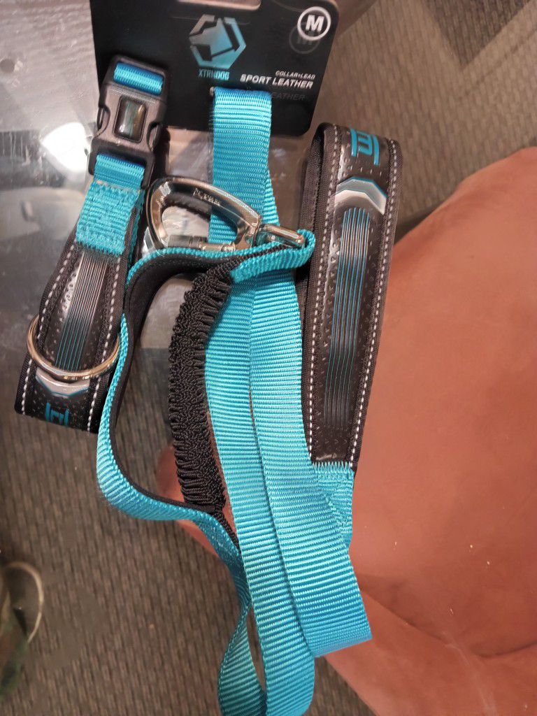 Collar & Lead For Dogs 