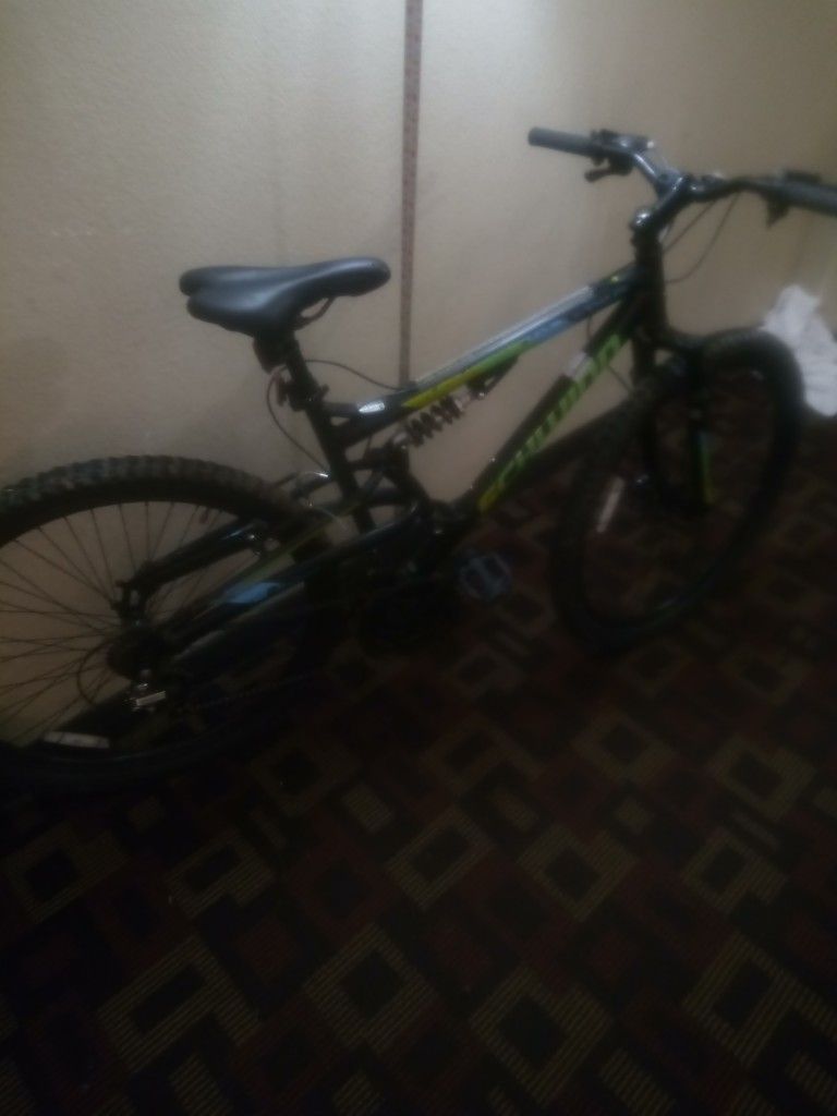 Schwinn Mountain Bike