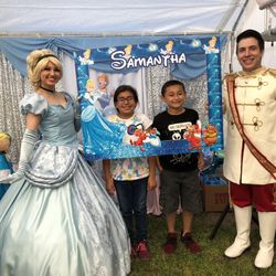 Large  Cinderella Frame Reusable