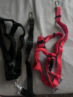 Dog Harness And Seat Belt Set For Car- NEW