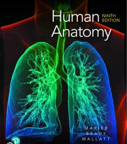Human anatomy textbook