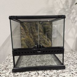 reptile enclosure