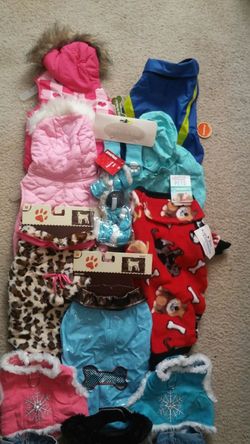 Close for media fema dog