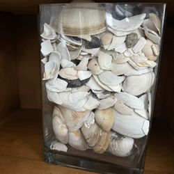 Beautiful Vace With Sea Shells 