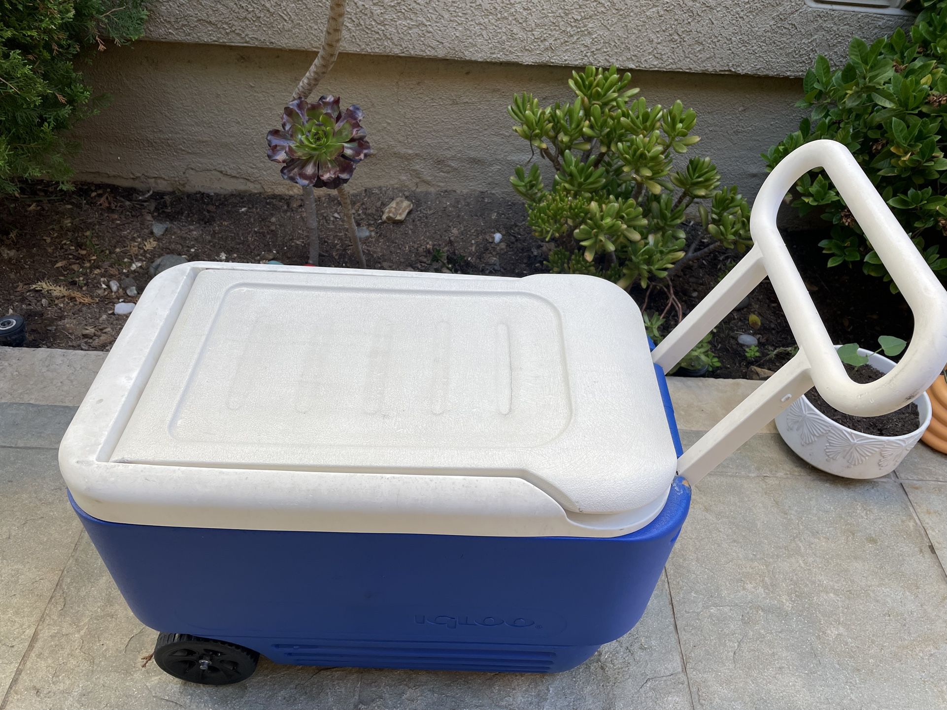 Igloo Cooler On Wheels 