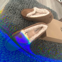 Uggs 