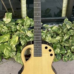 Samick Greg Bennett Design GPH-100SRE/N Guitar