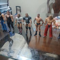 Wwe Action Figures