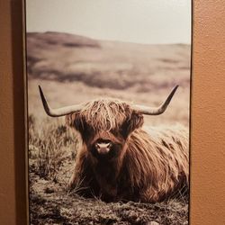 Framed Highland Cow Frame Picture 