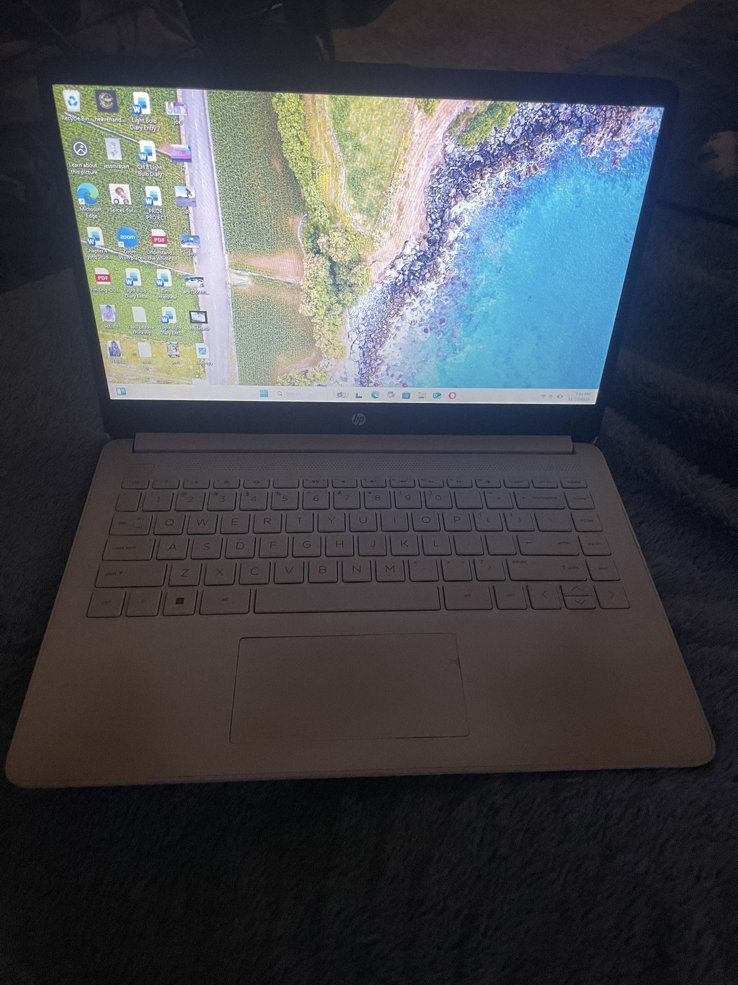 HP Laptop - Windows 11 - Fast - Long Battery Life