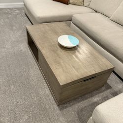 Pottery Barn Dupree Rectangular Storage Coffee Table (48")