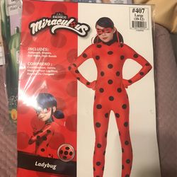 Ladybug Costume