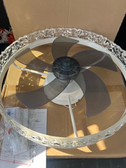 Ceiling fan with light 💡