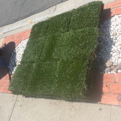 Free Sod