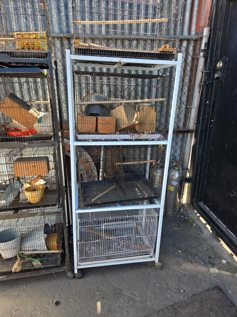 Bird Cages