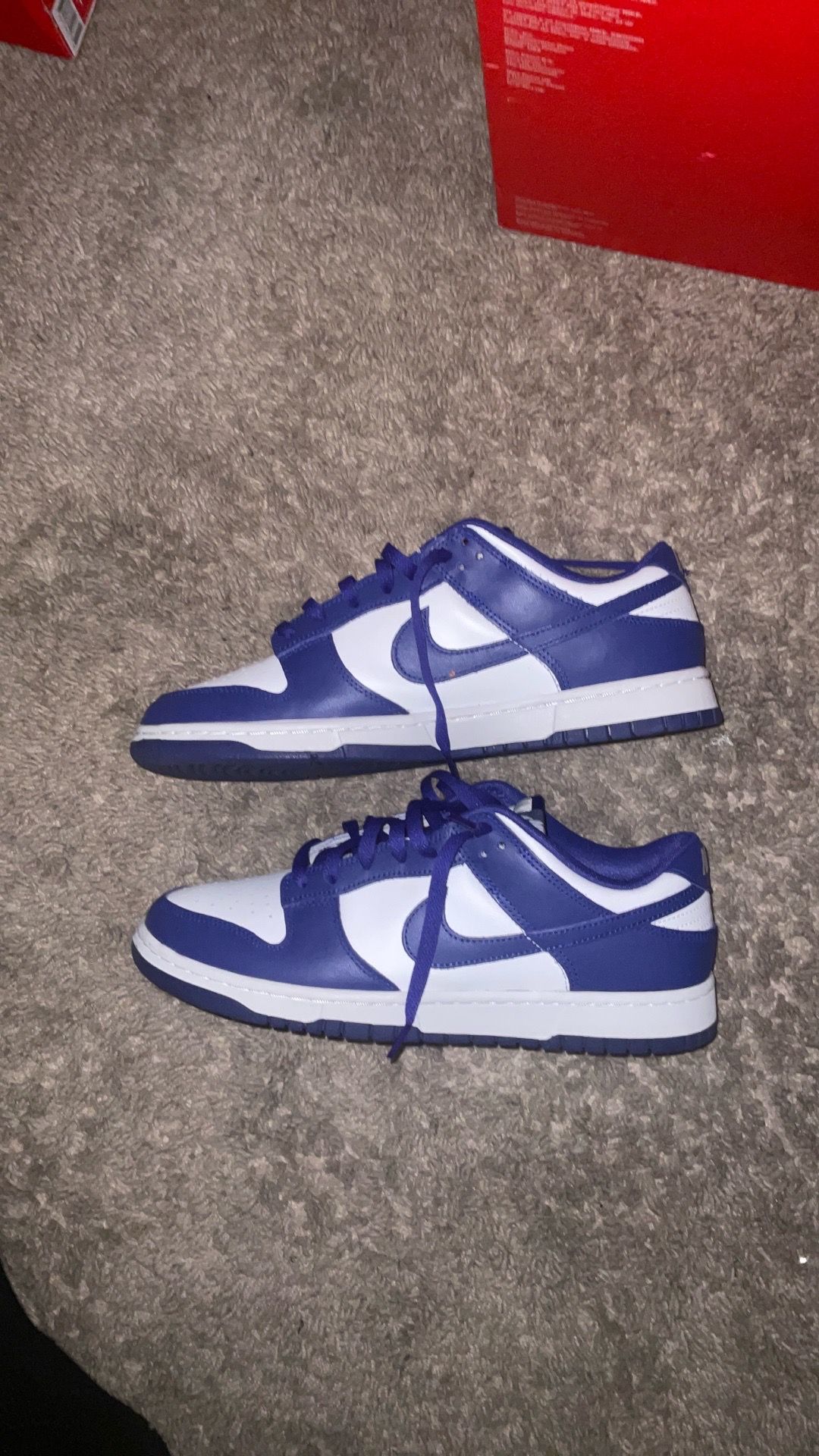 Nike dunk concord blue Size11