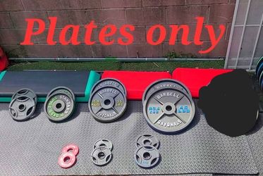 Iron Weight plate set (Pounds)