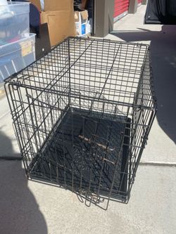 Kennel