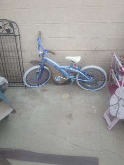 Schwinn Raider Bicycle