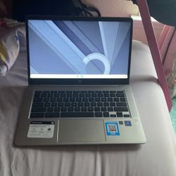 HP Chromebook