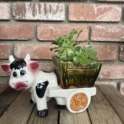 Cow Planter W/ Real Plant 🪴 