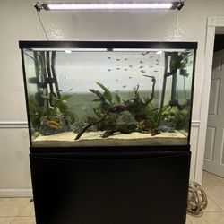 Glass Aquatic Fish Tank And Stand With 2 Chem Dosers