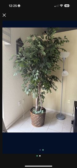 7ft Faux Ficus Tree With Pot