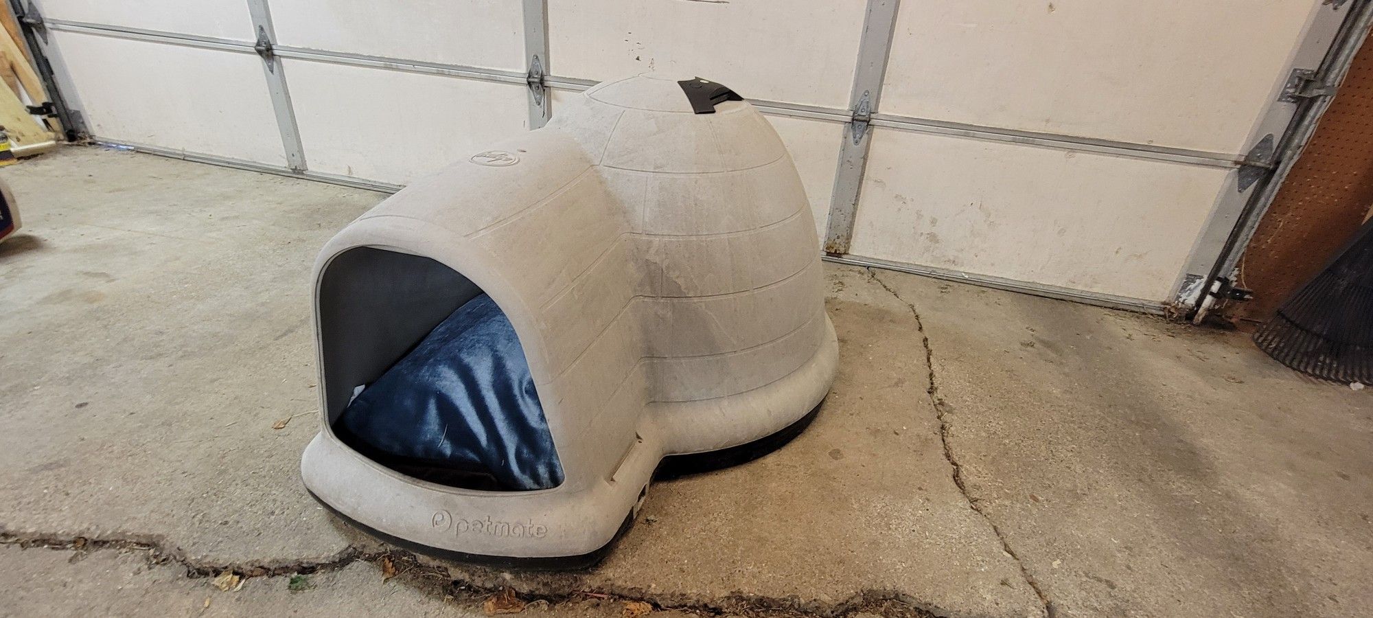 Dog House