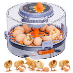 Automatic Egg Incubators For Hatching Eggs, 12 Egg Incubator With Automatic Egg Turning And Humidity Control, Egg Candler, 360° Viewing, Chicken Incub