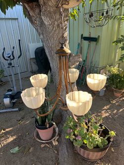 5-Light Bronze Chandelier with Cream Glass Shades