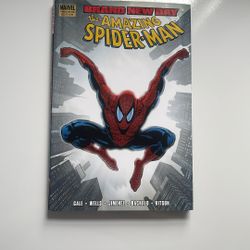 Brand New Day ( THE AMAZING SPIDER MAN )