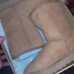 Uggs: Classic Short Chestnut (SZ.5 Ws NEW)