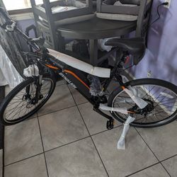 Electric Bike
