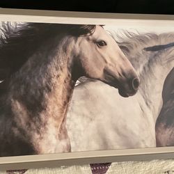 Stunningw 🤩 Crystal Art Gallery Herd Horse Frame 66x18 (Burien)