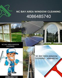 Window cleaning squeegee