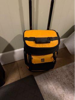 Cooler bag with wheels