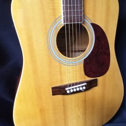 Burswood Acoustic Guitar 