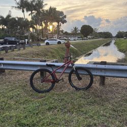 Blackjack D Pro Dirtjumper/wheelie Bike