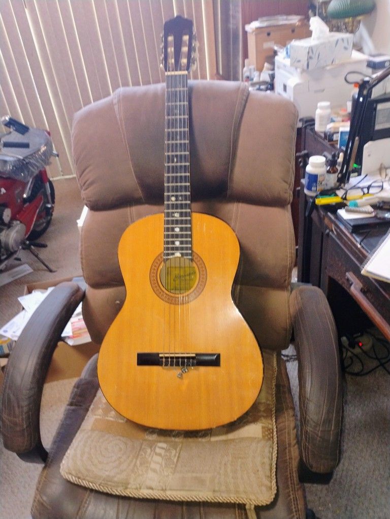 Coronado Guitar