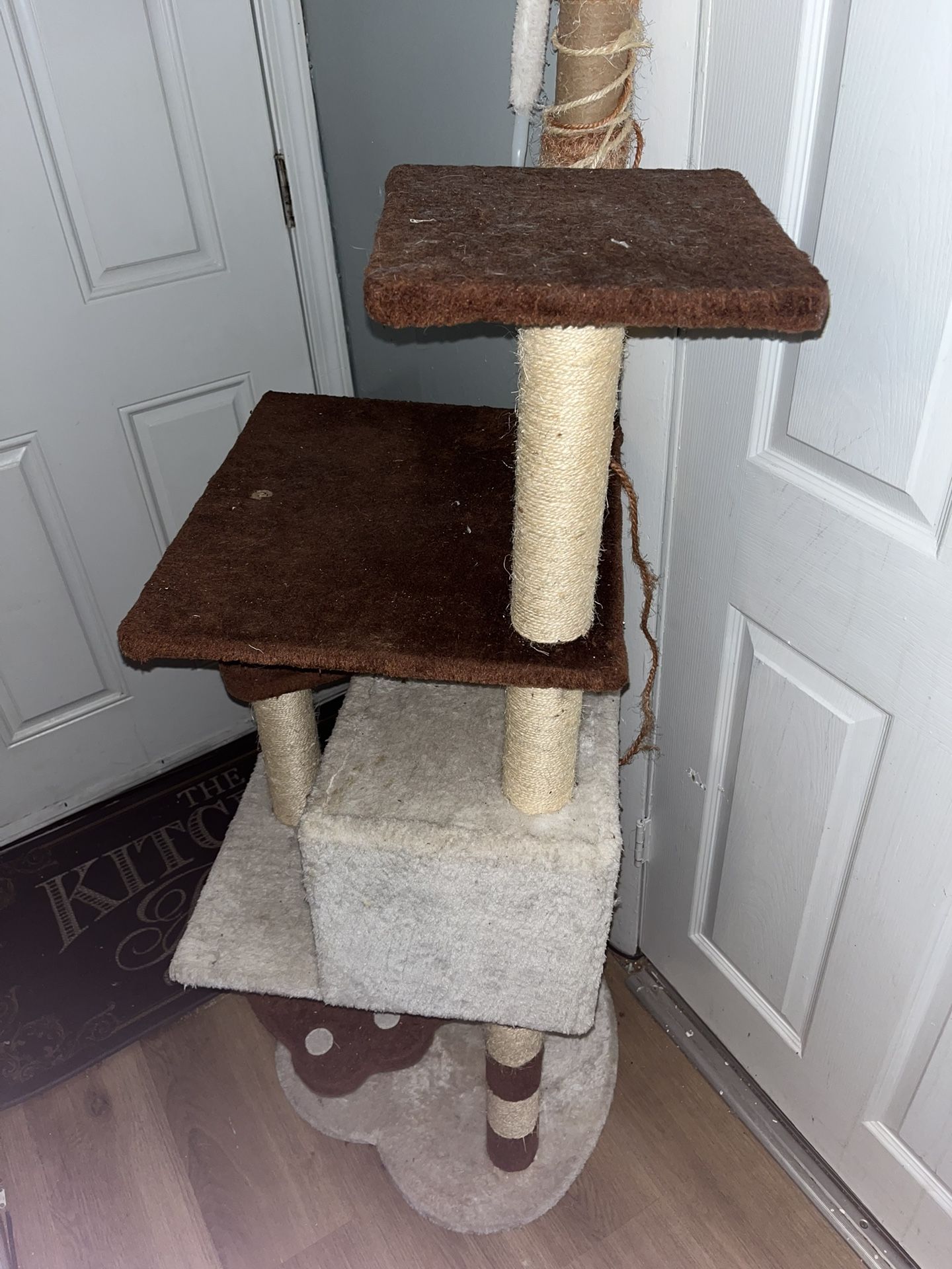 Cat Home / Tower