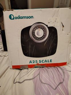 A25 scale new