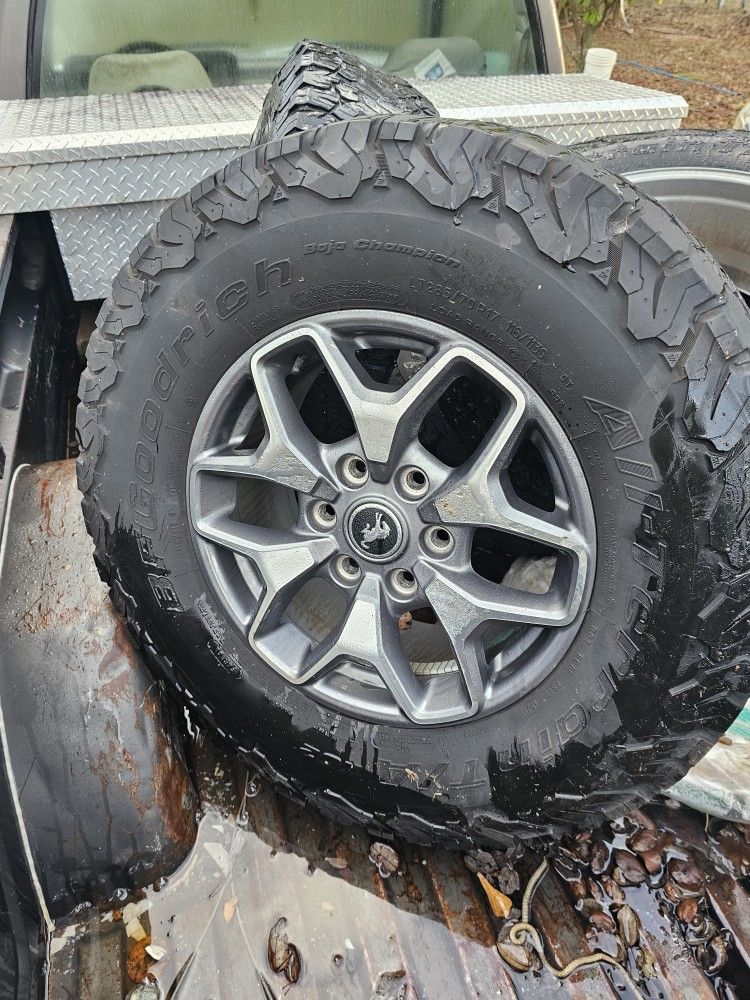 Bronco Wheels And Tires