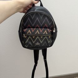 bag Coach 