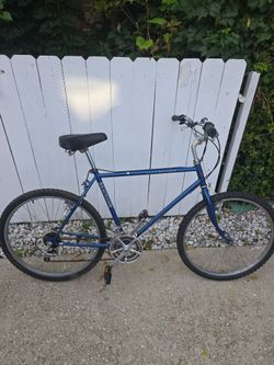 Schwinn mesa rummer